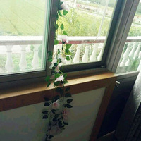 ���ҵı����ճ�����¼һ���Լ������ֹ�