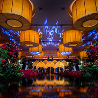 Dream Love����������Ʒ�ʻ���Brilliant��