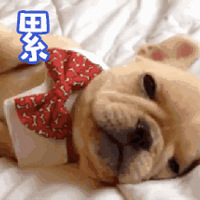 ̨�ݷ���ղ˲������������»�Ĵ����ӱ���������Ȼ��ô��