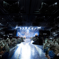 Dream Love����������Ʒ�ʻ���carrier��