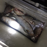 ����ץз��