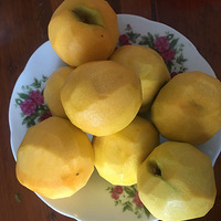 Ҽڡͷζ
