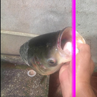 һ