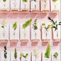 ����������ʲôд���д��⣿| �������ͼ