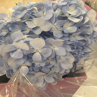 ������廨��+�Լ��������ľ�����