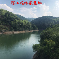 ������ɽҰ��.������