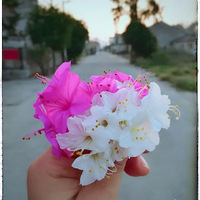 �Ϲ����˶�������һ����