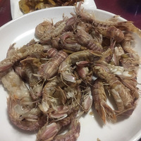 ���ϵ�ҹ�������أ�