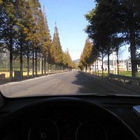 �����Է羰