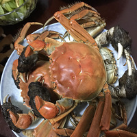 ���ҳ���������11������