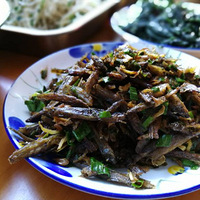 [�ҳ���������]�ҳ�ʳ��Ͳ