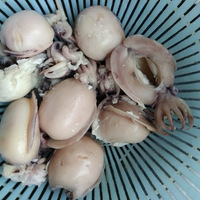 ���ҳ���������9��+��ĩ������