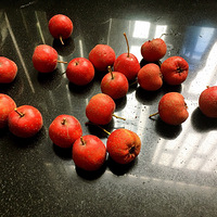 �ۼҳ���������54��+11.5