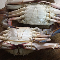 �������������