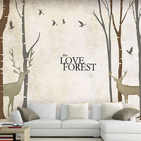 ��װ��װ���ⱳ��ǽ