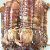 ��ͣ�����Ϻ����±ţ���ӡ����Ȳ˹��ⶹ��