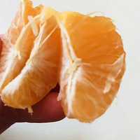 ���ĵ�����