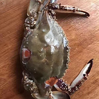 ���Ǻз���и����������ƣ�������ʮ��ն��