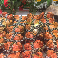 ���Ի���̨��no21����������