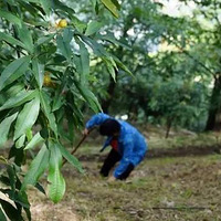 �����ζ��