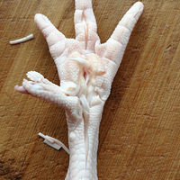 ���Ի���̨�ݡ� +��ʦ��С�Լ���ָ��