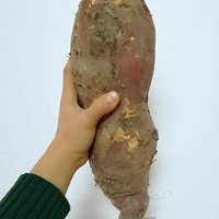 ���Ի���̨��No.21���������Ļ�������֮����֥ʿ��