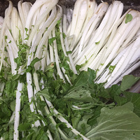 ũ���������̲�