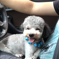 �㵽�����ģ�������