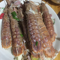 ���Ի���̨��No21�����ǳԸ�����ζ��ʱ��