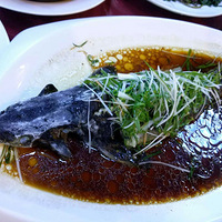 ���Ի���̨��N0.21��+�÷�����з�