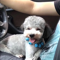 ·���ؽ�Ѱ��ʧС��