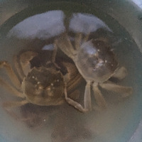 ������ʳ���Ͼ����з��