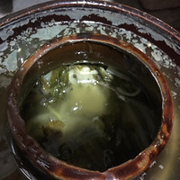 ��ҹ����֮��ũ�������̲��ѿ���