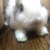 �¹µ������о�����