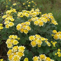 �Ҹ�Դ������̬