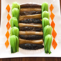 ��ͣ����պ��Ρ���������������Ϻ��������