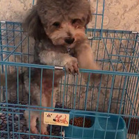 ·�Ž�巹���Ѱ��