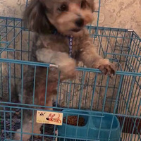 ·�Ž�巻�԰�ؽ�Ѱ��