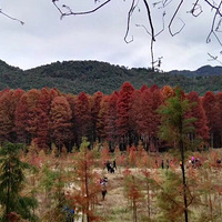 ����Ϊ�������è���㣬�����⣬��������С