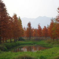 ·��������