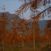 ��������ĩ����������