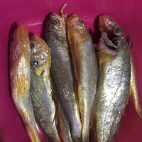 ������������5��44��һֱ�Ǹ��Ի�����һ��С�Ի�