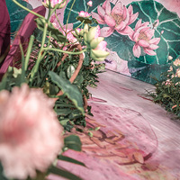 Dream LoveƷʻLotus