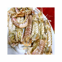 ������������5-67�����