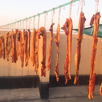 ���Ͼ�������ϸѡ�ֱ���2������̯���5��