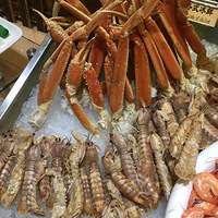 ������������5-1�ݷ�ʢ�����ͣ���