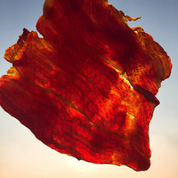 �����⣺��һ�ѿ쵶�����õĵ�������Ƭ����