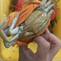 ������з