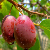 ��û��ϲ���л�ũҵ��С��飿