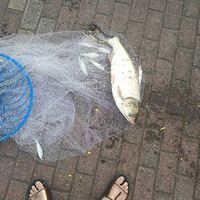 ����?����